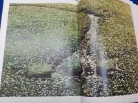 ふるさとの山河　　前田真三写真集
