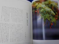 花京洛