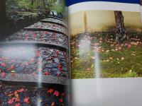 花京洛