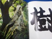 風景(普及版）
