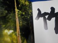 風景(普及版）