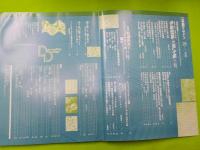 季刊　　装飾デザイン　第２５号　　特別企画「伊勢型紙と江戸小紋」