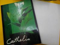 英仏文　　Cathelin   Lithographe  Ⅰ（1957－1982）・Ⅱ（1983－1989）