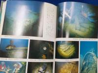 トラック大空襲～海底写真に見る連合艦隊泊地の悲劇