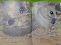 森のサンタクロース
