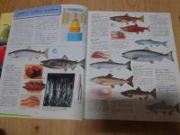 新版 食材図典 全3巻セット 生鮮食材篇 加工食材編 地産食材篇