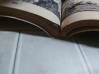 釣りキチ三平 1-56巻中41冊セット