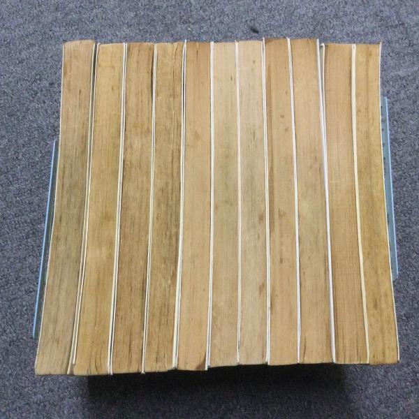 名たんてい カゲマン」全11巻セット てんとう虫コミックス(山根