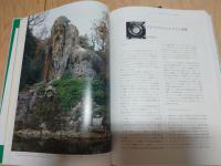世界美術大全集 11-15巻 5冊セット