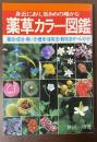 身近にあり、効きめの確かな薬草カラー図鑑　薬効・成分・用い方・歴史・採取法・栽培法オールガイド