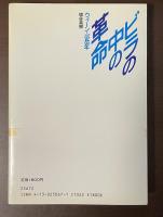 新しい世界史③ビラの中の革命　ウィーン・1848年