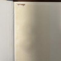 現代政治と大衆運動