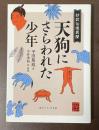 抄訳仙境異聞　天狗にさらわれた少年