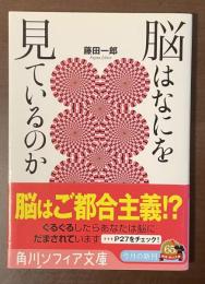 脳はなにを見ているのか