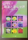 水の妖精　睡蓮と蓮の世界