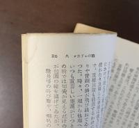 サランボオ　上・下揃