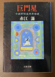 巨門星　小説菅原道真青春譜