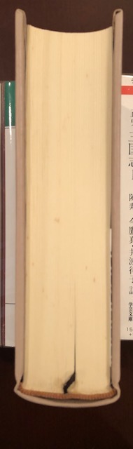 徴兵忌避