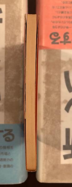 黄金の眼に映るもの マッカラーズ 田辺五十鈴訳 講談社文庫 貴重 レア本 黄金の眼に映るもの(マッカラーズ) / 古本、中古本、古書籍の
