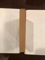 鳩の羽根