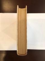 天才の肖像
D・H・ロレンスの生涯と作品
