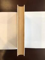 天才の肖像
D・H・ロレンスの生涯と作品
