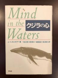 クジラの心