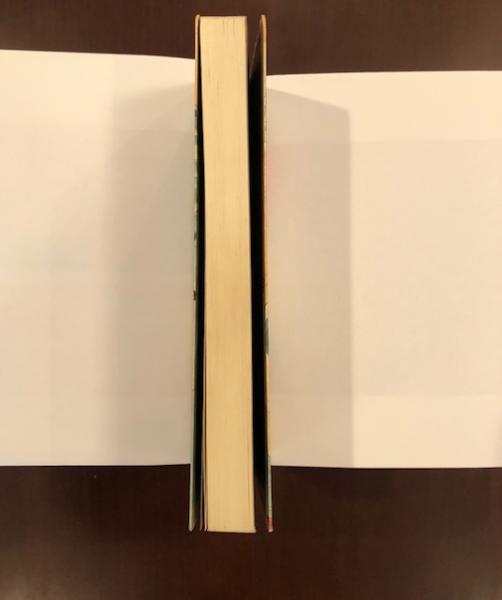 渋染一揆・美作血税一揆の周辺 ある墓碑銘への注(岩間一雄) / 古本