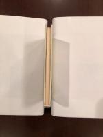 世界の詩集25　カロッサ詩集