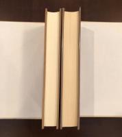 近代ドイツ文学論集　正・続2冊