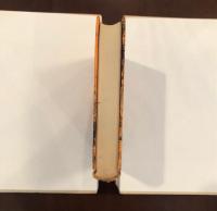 我が「足許提灯」の記