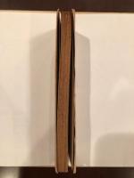亡命作家の手記
