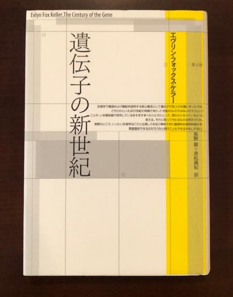 文学的芸術作品(R.インガルデン 瀧内槇雄、細井雄介訳