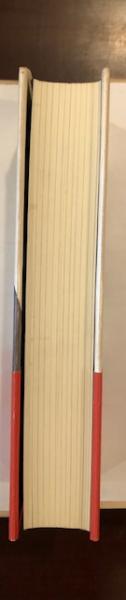 阿部定正伝(堀ノ内雅一) / 古本、中古本、古書籍の通販は「日本の