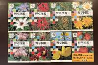 検索入門　野草図鑑　全8巻揃