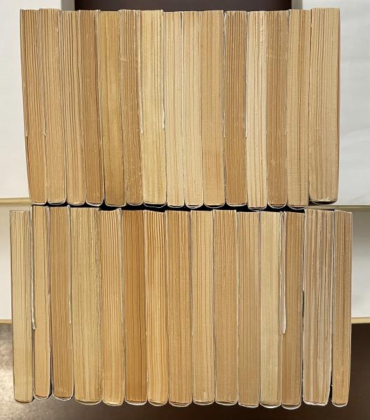 江戸川乱歩文庫 全30巻揃 / ロンサール書店 / 古本、中古本、古