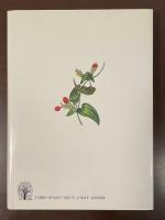 イラスト　野草図誌