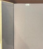 廃墟文学の承認