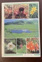 八ヶ岳・霧ヶ峰の花