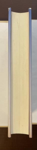 エヴァンゲリオンの夢 使徒進化論の幻影(大瀧啓裕) / 古本、中古