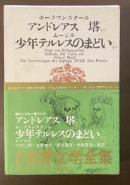 新訳世界文学全集38
『アンドレアス』『短篇』『塔』『少年テルレスのまどい』『三人の女』