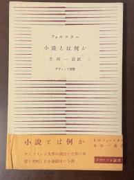 ダヴィッド選書　小説とは何か