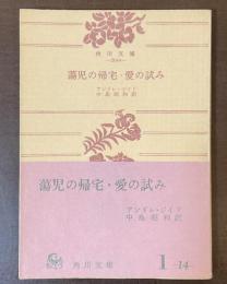 蕩児の帰宅・愛の試み