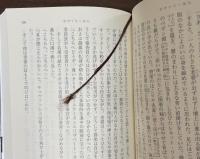 ボヴァリー夫人