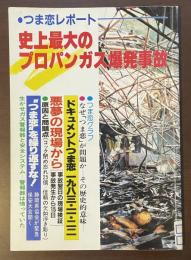 つま恋レポート　史上最大のプロパンガス爆発事故