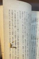 世界文学叢書　セワストーポリ物語