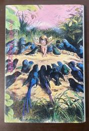 ケルト幻想物語集③アイルランドの妖精譚　妖精文庫⑪