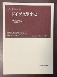 ドイツ文学小史　岩波現代叢書