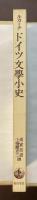 ドイツ文学小史　岩波現代叢書