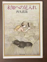 未知への足入れ